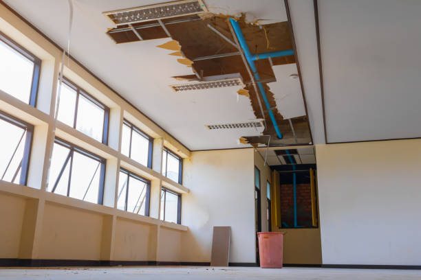 Best 24/7 water damage repair  in Dupont, PA