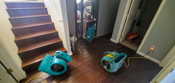 Best Flood damage cleanup  in Dupont, PA