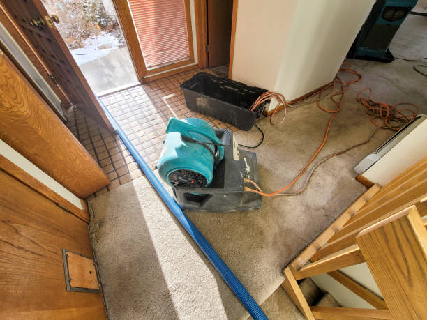 Best Residential water damage restoration  in Dupont, PA