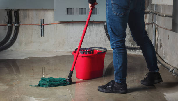 Best Professional water damage repair  in Dupont, PA